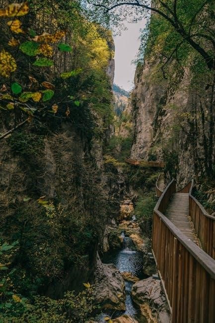 red river gorge trail map pdf